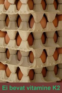 eieren bevatten vitamine K2