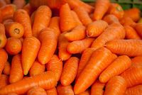 Daucus carota wortel