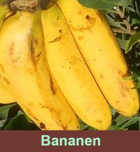 Banaan is een hele gezonde vrucht