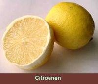 Citrus limon Citroen