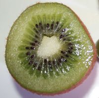 Actinidia chinensis Gele kiwi en groene kiwi