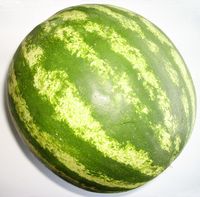 Citrullus lanatus Watermeloen, een gezonde en verfrissende snack