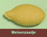 Gezond meloenzaadje