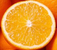 Citrus sinensis Sinaasappel