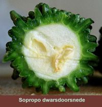 Sopropo is een zeer bittere en gezonde groente