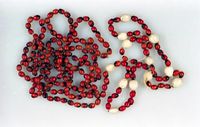 Jewelry_Made_With_Poisonous_Beans_(FDA_084)_(8250580238)