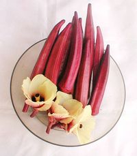 Red_Okra_In_The_Bowl_(259536425)