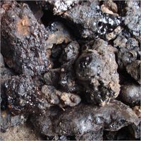 640px-Shilajit-1_(1)