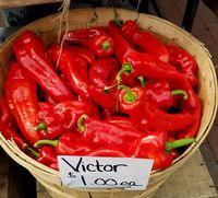 Victor_peppers_-_Cambridge,_MA_-_20181007_112527