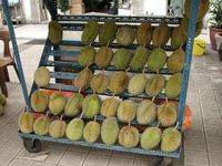 640px-Durian_rack_in_Kuala_Lumpur