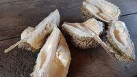 Opened_durian_(Philippines)