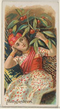 Mangosteen,_from_the_Fruits_series_(N12)_for_Allen_&amp;_Ginter_Cigarettes_Brands_MET_DP834631
