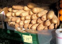 Dioscorea batatas