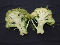 640px-Brassica_oleracea_var.italica-3-yercaud-salem-India