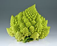 Romanesco_broccoli_(Brassica_oleracea)