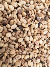 640px-Fermented_coffee_beans