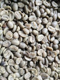Green_arabica_coffee_beans