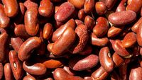 640px-Red_Kidney_Beans_(49684142646)
