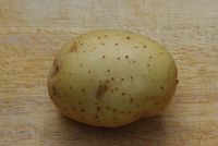 Single_Maris_Piper_potato_intact