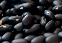 Screenshot 2023-10-17 at 11-57-49 black-beans.jpg (JPEG-afbeelding 2959 &times; 1756 pixels) - Geschaald (42%)