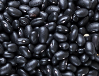 Screenshot 2023-10-17 at 11-58-33 black-beans.jpg (JPEG-afbeelding 3602 &times; 2702 pixels) - Geschaald (27%)