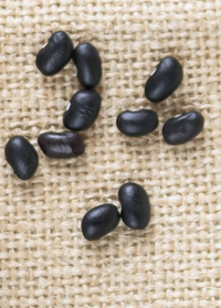 Screenshot 2023-10-17 at 11-58-44 black-beans.jpg (JPEG-afbeelding 3602 &times; 2702 pixels) - Geschaald (27%)
