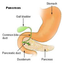 Pancreas_nih