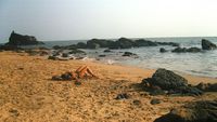 Om_beach_gokarna_sun_bathing