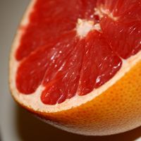 640px-Grapefruit_free