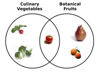 640px-Botanical_Fruit_and_Culinary_Vegetables