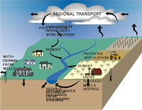 640px-Schematic_diagram_illustrating_routes_of_pesticides_into_streams_and_groundwater.svg