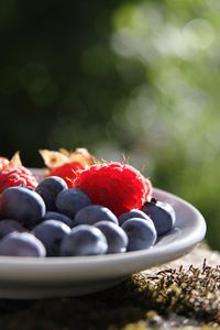 Healthy-looking_raspberry_and_blueberry_(Unsplash)