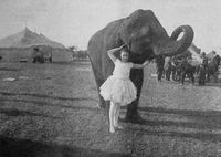 Bessie_Love_and_an_elephant_in_The_Sawdust_Ring