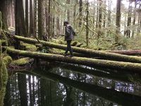 Walking_-_Olympic_National_Forest_-_October_2017