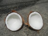 640px-9129Processing_and_cooking_of_coconut_healing_oil_in_the_Philippines_04