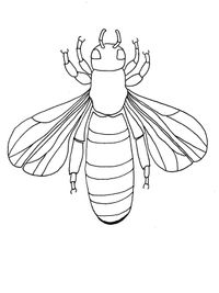 Honey_Bee_Line_Drawing