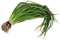CSA-Red-Spring-Onions