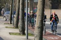 2015.02.16.135209_Bicycle_riders_Carnival_Parklaan_&#039;s-Hertogenbosch