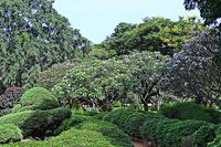 640px-Park_Garden_Botanical_Garden_Greenery_Lal_Bagh_(48186393327)