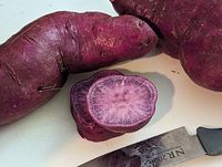 Purple_sweet_potato_bought_in_Yoshiwara